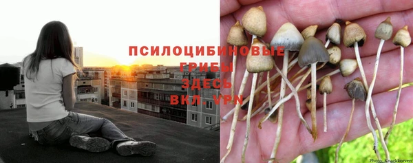 МДПВ Белокуриха