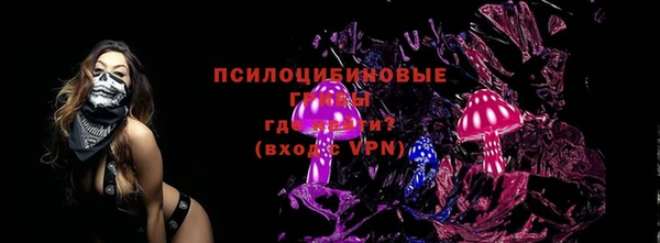 МДПВ Белокуриха