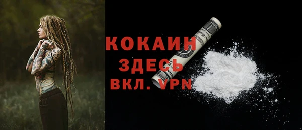 молекула духа Белоозёрский