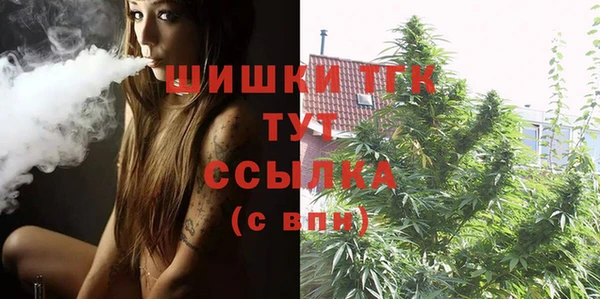 молекула духа Белоозёрский