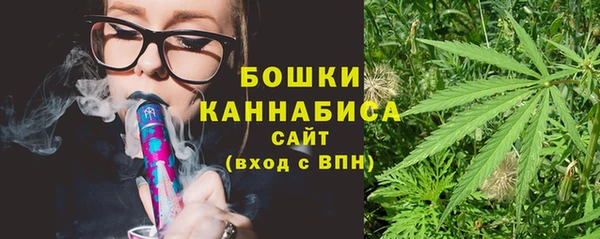 молекула духа Белоозёрский