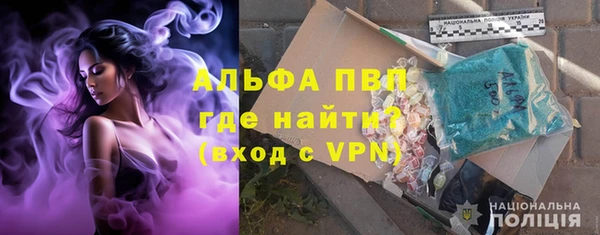 молекула духа Белоозёрский