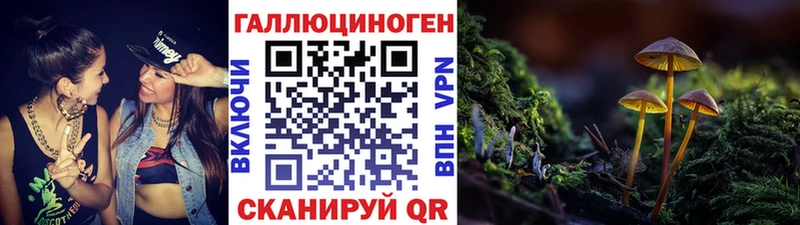 что такое Бородино Галлюциногенные грибы ЛСД